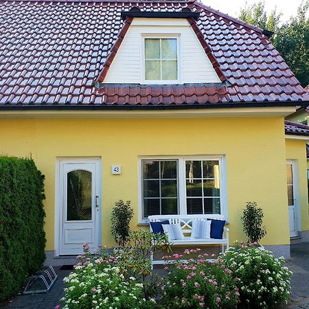 Vila Am Deich 43 Zingst Exteriér fotografie